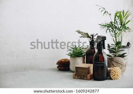 Various items and ingredients for eco home cleaning and house plants Royalty-Free Stock Photo #1609242877
