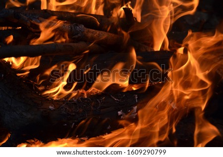 Red camp fire and flames