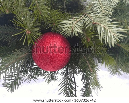 bright red christmas ball with sparkles on a branch of spruce