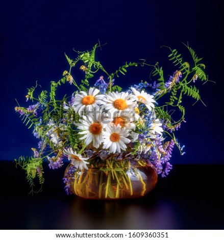 A bouquet of wild summer field flowers of chamomile and mouse peas in a glass vase on a black floor and dark purple background.