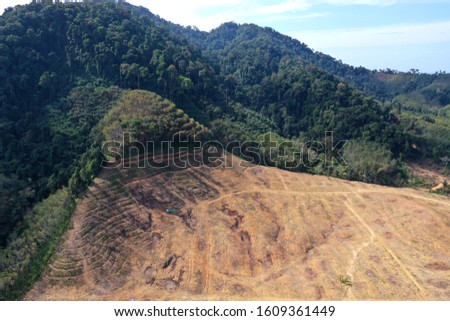 Deforestation. Aerial photo of rain forest destroyed to make way for agricultural land. Southeast Asia 