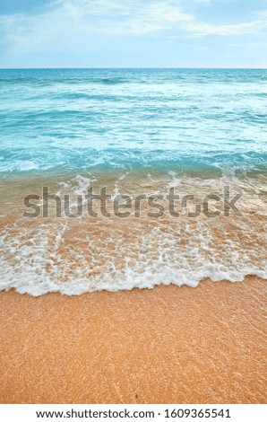 Picture of an empty beach, natural background.