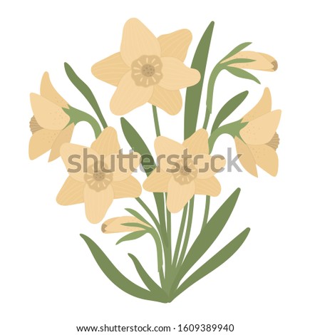 Vector illustration of narcissus bouquet isolated on white background. Spring traditional symbol and design element