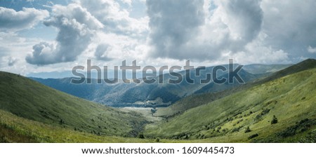 Mountain canyon in the Carpathian mountains
