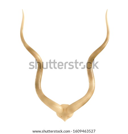 Decorative beige horns on a white background. The front is a view. 3d rendering