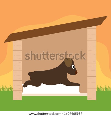 Dog in a pet house - Vector illustration design