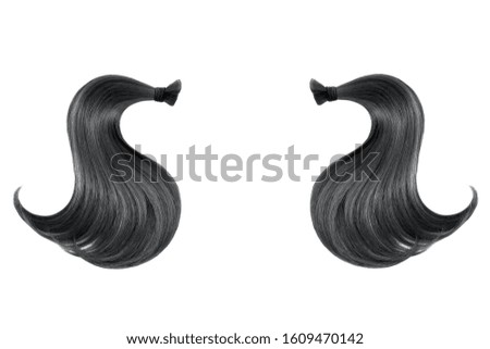 Black hair isolated on white background. Two ponytail