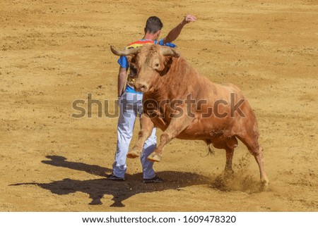 brave bullfighters in front of a big bull Royalty-Free Stock Photo #1609478320