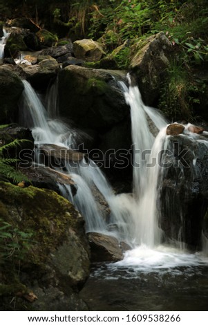 Waterfall in the black forest, Germany