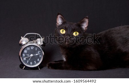 A black cat, similar to a small panther, lies sideways on a black background next to a silver alarm clock with a black dial.