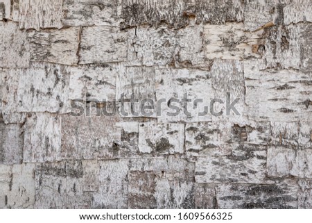 Canvas patchwork of squares of birch bark. Natural background