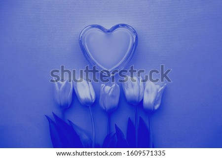 Glass heart and classic tulips on a classic blu background, fragile love background, valentines day concept, Pantone 2020