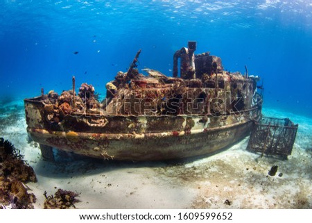 Ship wreck underwater Cozumel Mexico Royalty-Free Stock Photo #1609599652