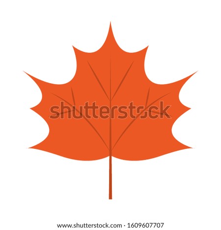 Isolated autumn leaf icon. Thanksgiving season - Vector illustration design