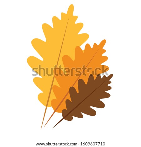 Isolated autumn leaf icon. Thanksgiving season - Vector illustration design