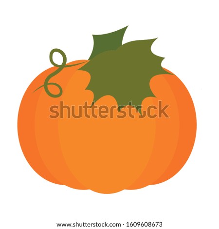 Isolated pumpkin icon. Thanksgiving season - Vector illustration design