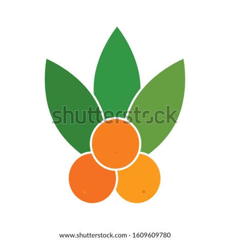 Isolated peaches image. Thanksgiving season - Vector illustration design