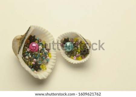 Natural shells multi-colored sewing decor beads with a hole