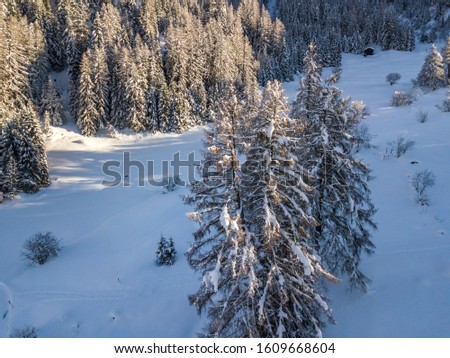 Aerial view of snow covered fir trees in peaceful winter landscape. Alpine mountain area in Switzerland with snow covered forest. Concept of calm wilderness.