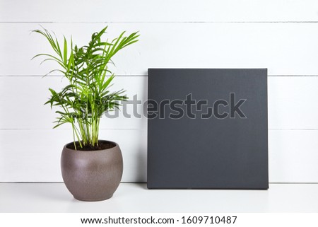 A black cotton canvas and green plant in flower pot on white wooden background. Stretched clean canvas. Mock up, front view