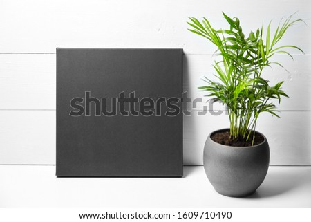 A black cotton canvas and green plant in flower pot on white wooden background. Stretched clean canvas. Mock up, front view