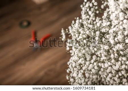 White gypsophila on the background of wooden floor with instruments for florist. 