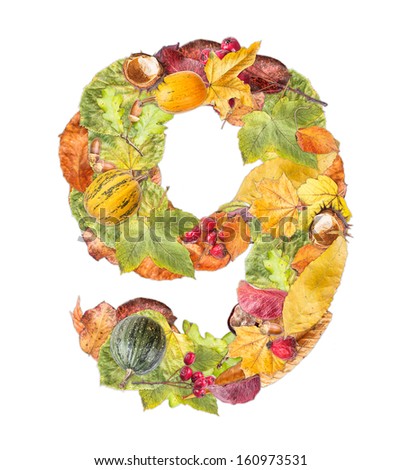 Number 9 made of autumn colored leaves isolated on white background