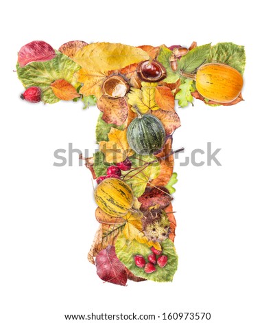 Letter T made of autumn colored leaves isolated on white background