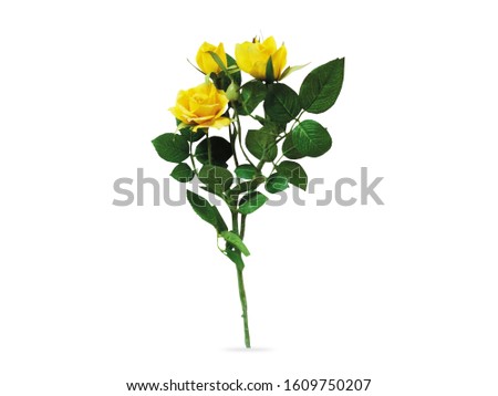 A Sprig Yellow Roses With Leaves Isolated White Background