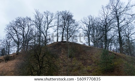 View on the holy oak hill. Worship of pagan Gods and trees. Ancient pagan temple.