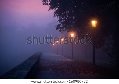 Empty footpath in morning mist with colored sky visible Royalty-Free Stock Photo #160980782