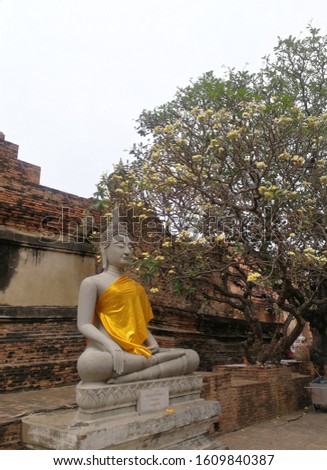 Stone Buddha Image sitting onnthe Lotus in Ayutthaya Temple, Thailand with Frangipani Tree Background. This image looks calm , peaceful and tranquility.
