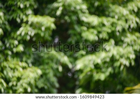 Royalty high quality free stock photo of abstract blur and defocused with green colors in the mini forest. The forest in city would enhancing the quality of space and environment.