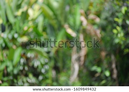 Royalty high quality free stock photo of abstract blur and defocused with green colors in the mini forest. The forest in city would enhancing the quality of space and environment.