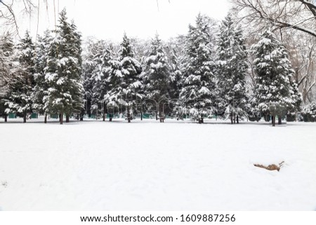 A natural scene of heavy snow in winter
