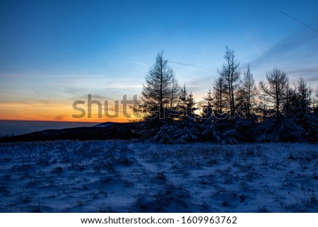 orange-blue sunset with silhouette of trees