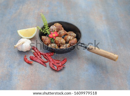 Spotted babylon, Babylonia areolata, or sweet sea snails in a black iron kitchen pan on a kitchen board with garlic, red dried hot chilli and lemon, selective focused picture of seafood ready for cook