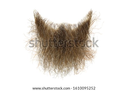 Disheveled brown beard isolated on white. Mens fashion