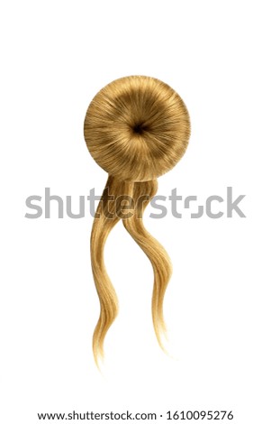 Brown hair on white, isolated. Doughnut bun