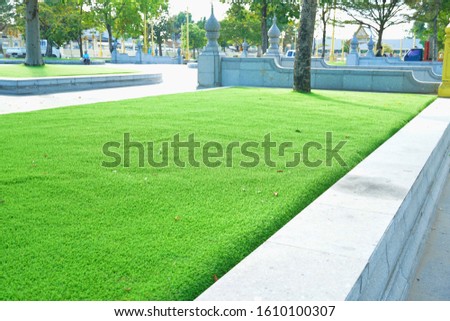 Green grass texture background, Backyard for background, Grass texture, Green lawn desktop picture, Park lawn texture, green grass texture from a field, close up.