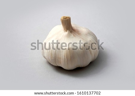 Garlic head on white background, ingredient for cooking.                                   