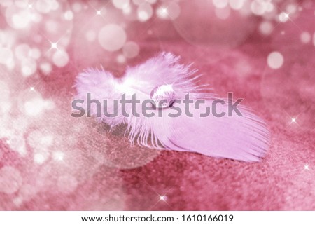 White light feather with a transparent drop of water on a pink background, close-up. Delicate image of cleanliness, free space.