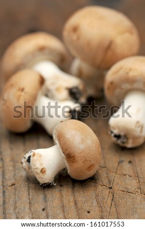 	fresh mushrooms