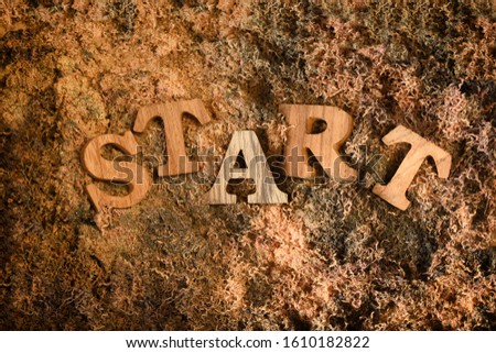 Start word on sawdust background, business concept