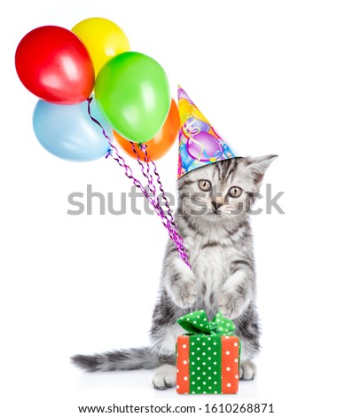 Kitten wearing a party hat stands with gift box and holds balloons. isolated on white background