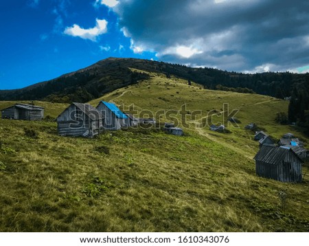Forest and Mountains landscape A flock of sheep grazing in a hill Sheep in a meadow in the mountains Beautiful natural landscape Outdoor active lifestyle Travel adventure vacations