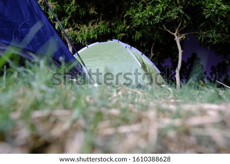 Two green tents for resting at night in the middle of the forest Adventure concepts