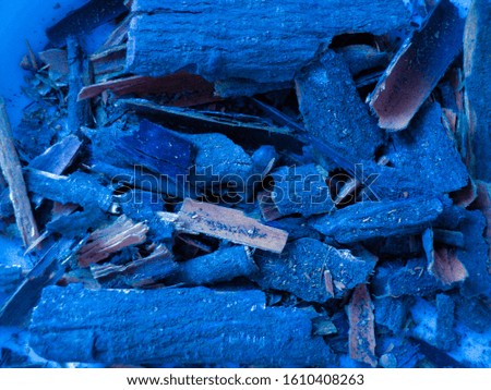 Nature. Tree bark phantom blue. Abstract closeup of a blue tree pieces of bark