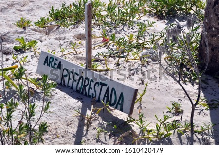 A Wooden sign in the Sand that reads "Area Reforestada" which means Reforestation Area in English
