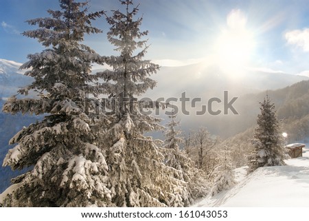 Beautiful morning light shining over the mountain ridge and evergreen trees covered with snow